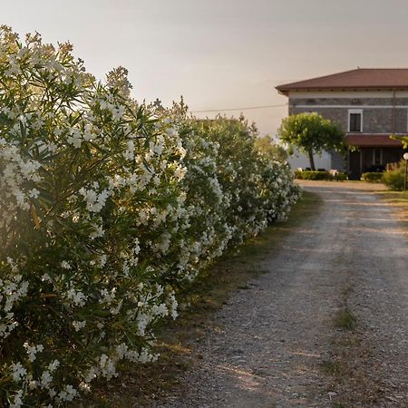 Agri Charme Tenuta Picilli Villa Albanella Exteriör bild