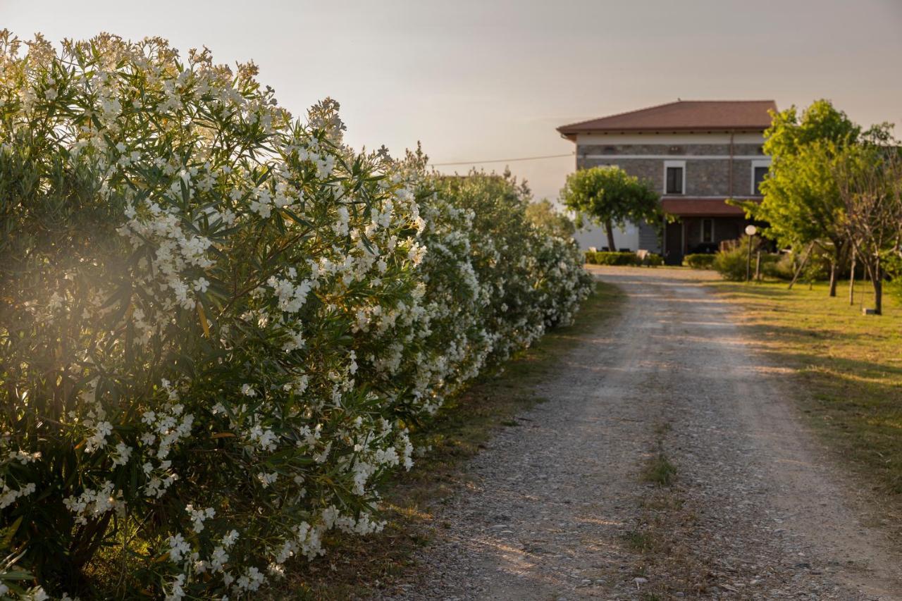 Agri Charme Tenuta Picilli Albanella Exteriör bild